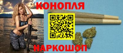 гидра Тверь
