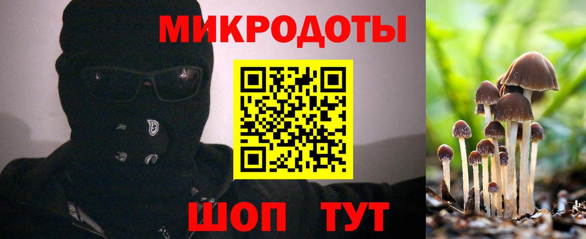 Псилоцибиновые грибы ЛСД  Вход с VPN  Нижнеудинск  Галлюциногенные грибы ЛСД 